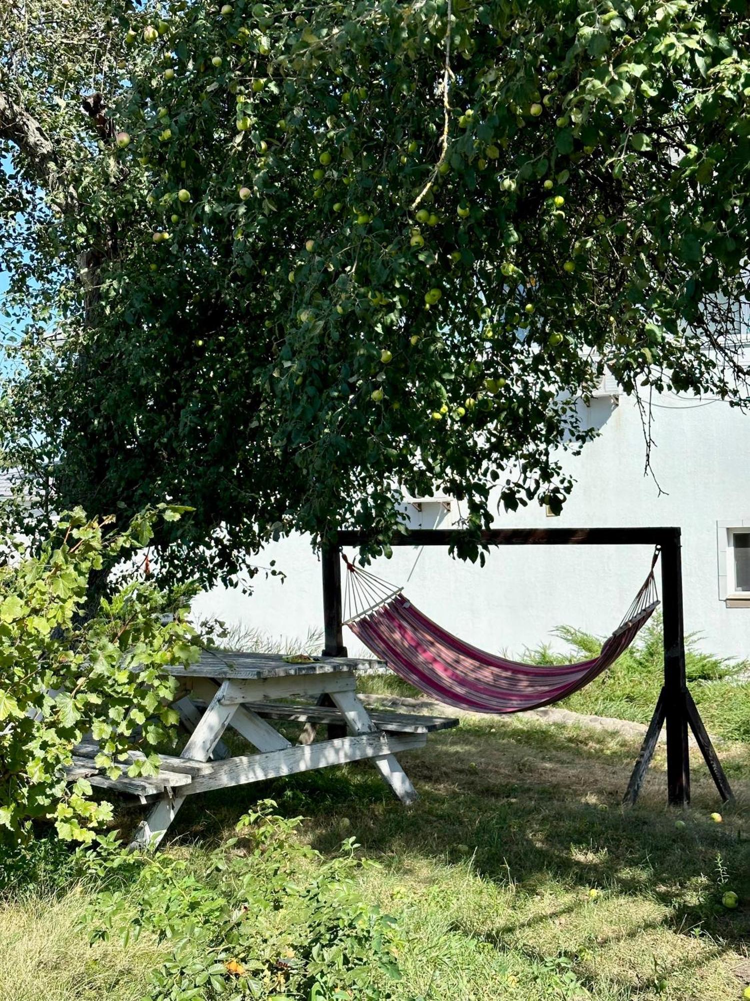 Maison Blanche Ecohousе Mytnitsa Zewnętrze zdjęcie