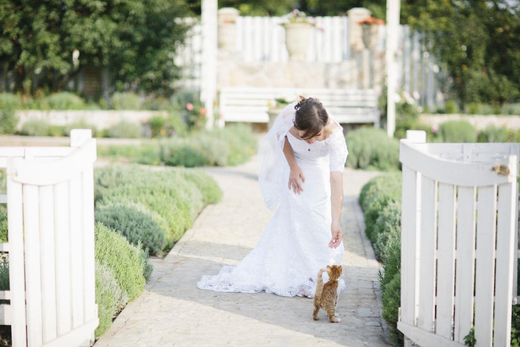 Maison Blanche Ecohousе Mytnitsa Zewnętrze zdjęcie