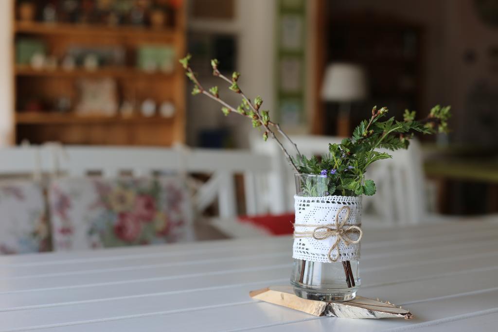 Maison Blanche Ecohousе Mytnitsa Zewnętrze zdjęcie