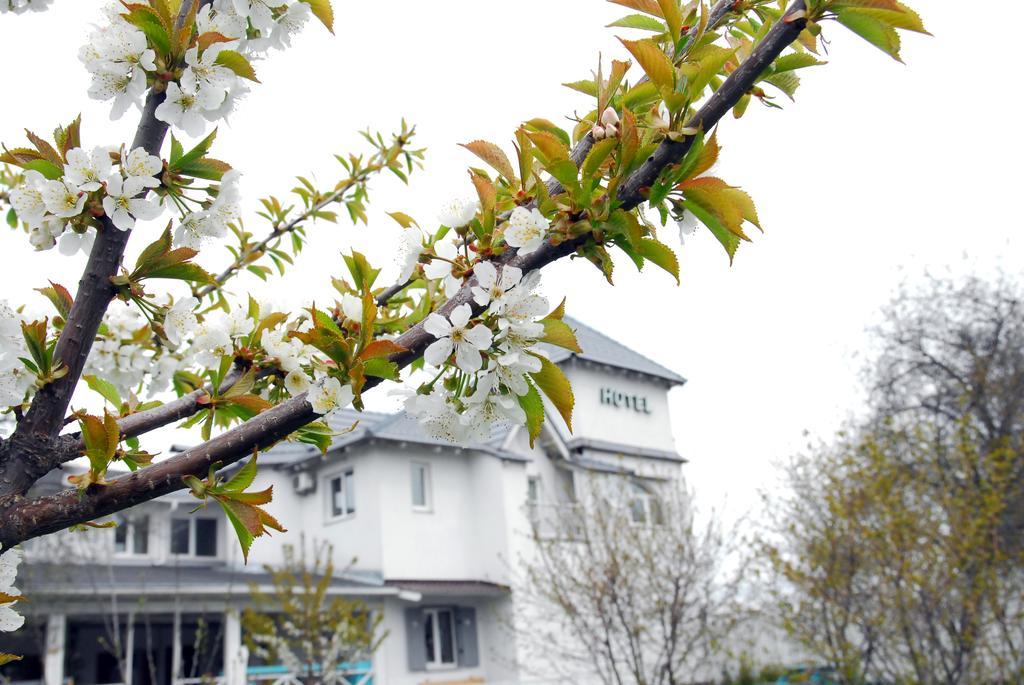 Maison Blanche Ecohousе Mytnitsa Zewnętrze zdjęcie