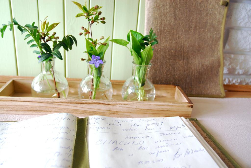 Maison Blanche Ecohousе Mytnitsa Zewnętrze zdjęcie